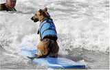 Pet  water safety vest with summer prints.