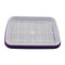 Double Layer Hydroponic Seedling Tray.  Great for Starting Off Seeds for Vegetables .