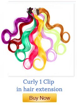 Leeons colorful synthetic heat resistant hair extensions With Clips.