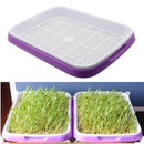 Double Layer Hydroponic Seedling Tray.  Great for Starting Off Seeds for Vegetables .