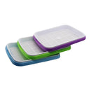 Double Layer Hydroponic Seedling Tray.  Great for Starting Off Seeds for Vegetables .