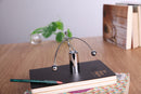 Newtons Cradle Steel Balance Ball for your desk or Children's Educational toy.