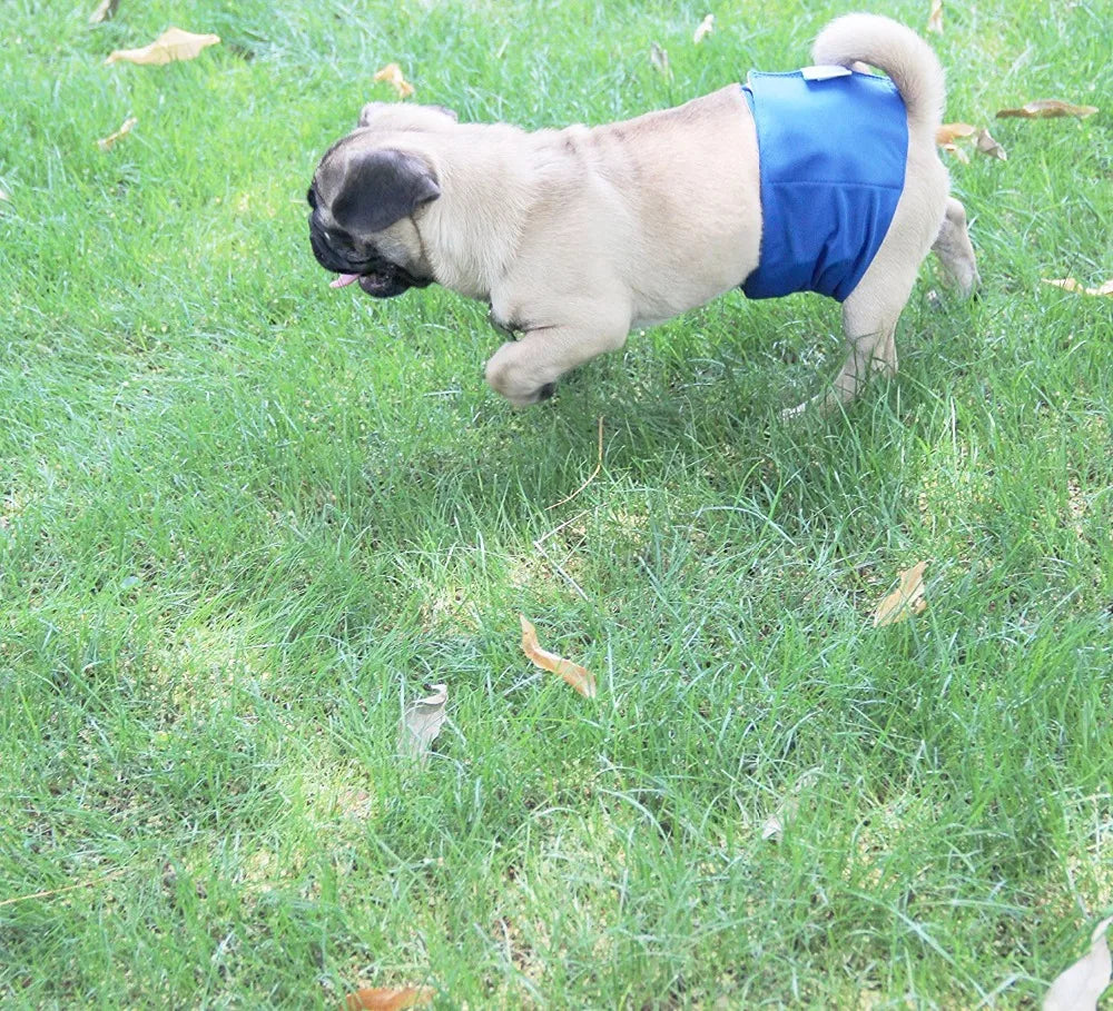 2/3/4/5Pack Cotton Cloth Diaper For Male Dogs