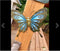 Garden Butterfly Wall Artwork for Home and Outdoor Decorations.