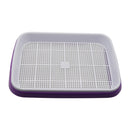 Double Layer Hydroponic Seedling Tray.  Great for Starting Off Seeds for Vegetables .