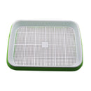 Double Layer Hydroponic Seedling Tray.  Great for Starting Off Seeds for Vegetables .