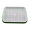 Double Layer Hydroponic Seedling Tray.  Great for Starting Off Seeds for Vegetables .