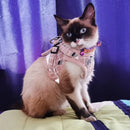 Mesh Pet Harness and Leash Set.