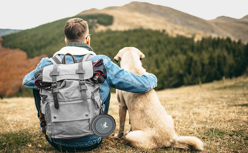 350ML/1000ML Collapsible Dog Bowls for Travel.