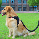 Pets Adjustable Harness and Leash.