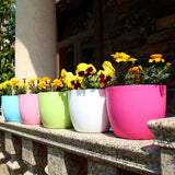 Self Watering indoor flower pots. Indicator measures water level.