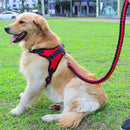 Pets Adjustable Harness and Leash.