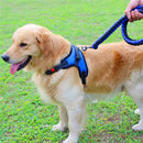 Pets Adjustable Harness and Leash.