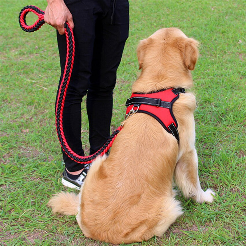 Pets Adjustable Harness and Leash.