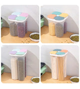 4 Grids Sealed Plastic Storage Container