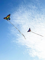 Colorful Inflatable Butterfly Kite