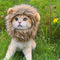 Cute Lion Mane wig for your cat.