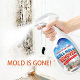 Multi-Surface Cleaning Solution For Stains