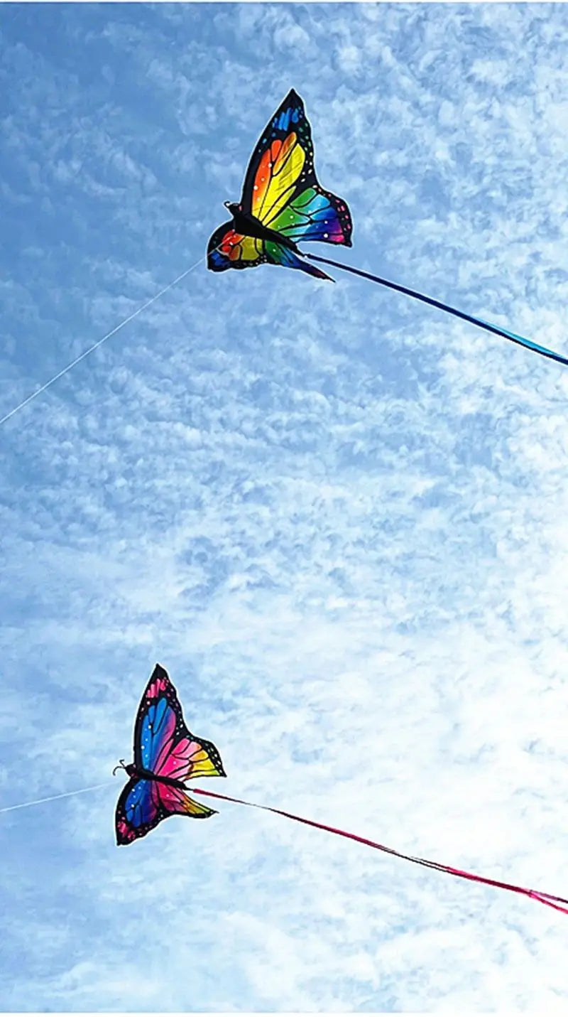 Colorful Inflatable Butterfly Kite