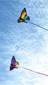 Colorful Inflatable Butterfly Kite