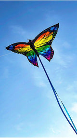 Colorful Inflatable Butterfly Kite