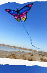 Colorful Inflatable Butterfly Kite