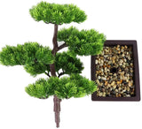 33cm Japanese Pine Bonsai Plant for Home Decoration