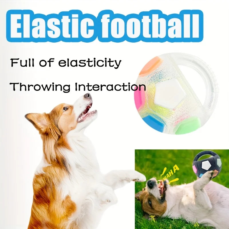 Pet's Soccer Ball With Carrying Handle For Throwing