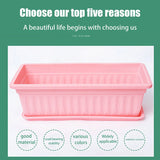 1 Plastic Rectangular Vegetable Planter