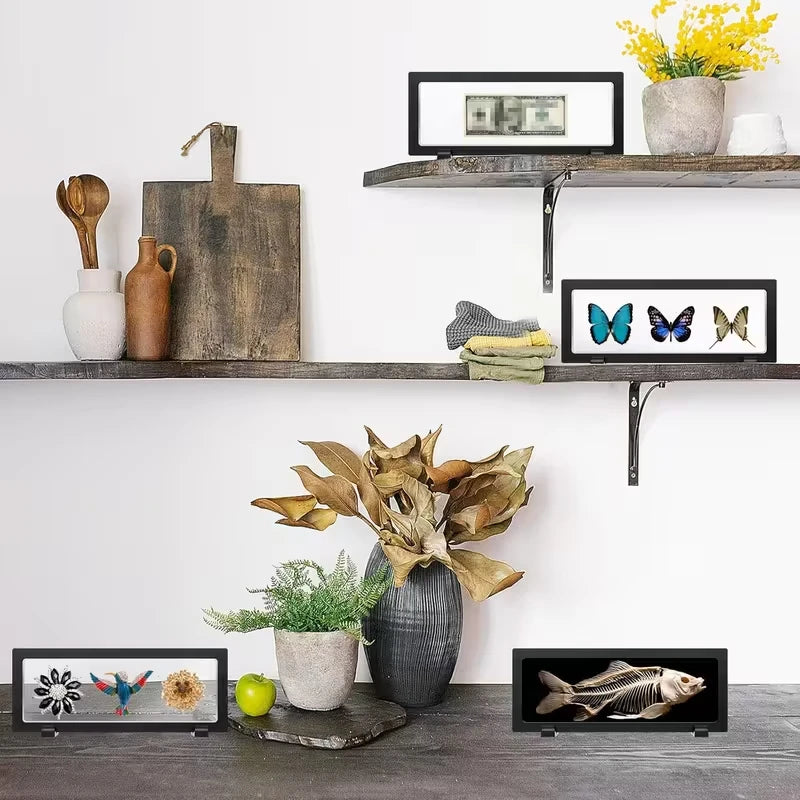 Reusable Floating Display Case For Insect Collection Coin Or Jewelry