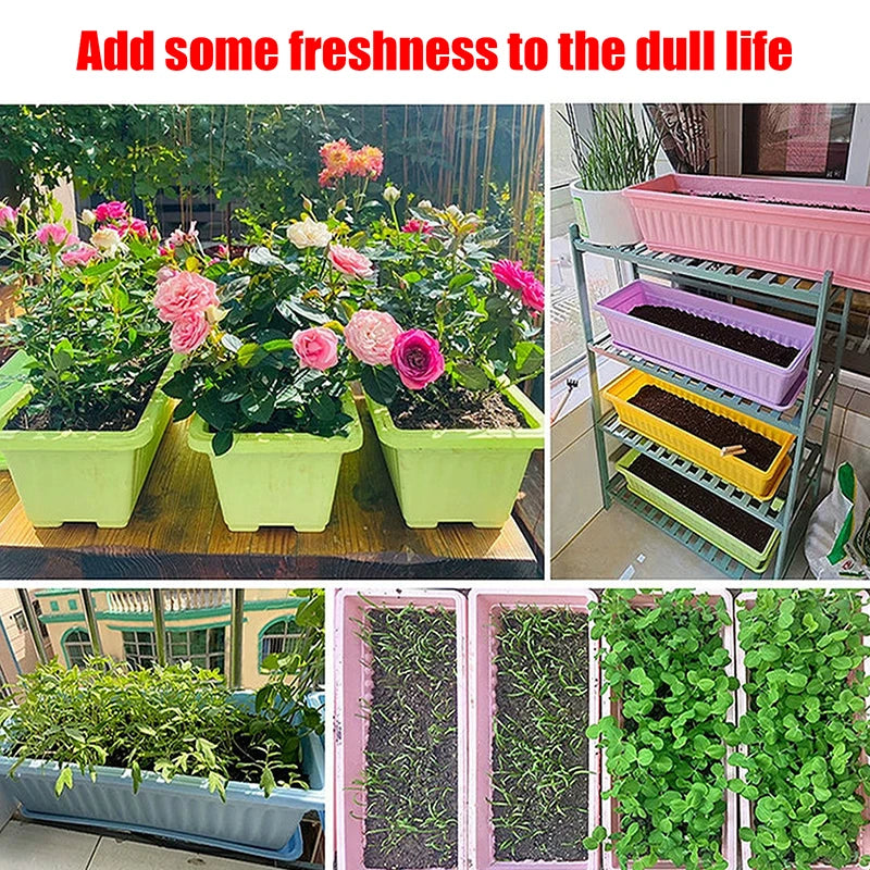 1 Plastic Rectangular Vegetable Planter