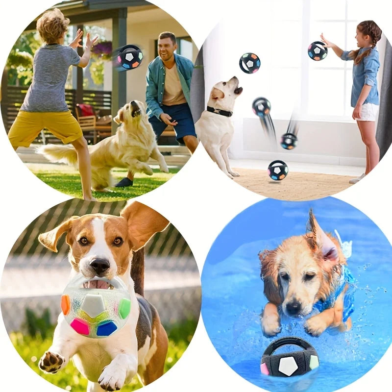Pet's Soccer Ball With Carrying Handle For Throwing