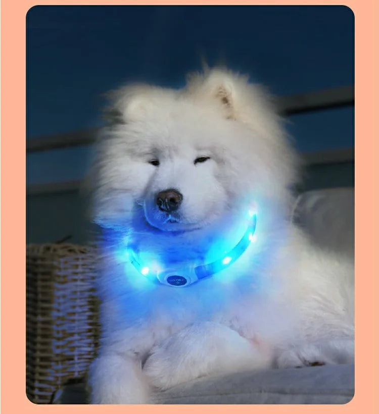 Led/USB Luminous PVC Waterproof Collar For Large Medium Or Small Pets