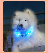 Led/USB Luminous PVC Waterproof Collar For Large Medium Or Small Pets