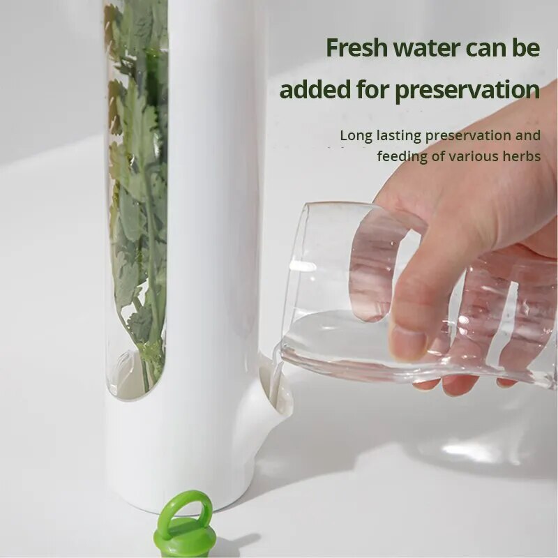 1 Pc Herb Or Vegetable Preserving Bottle.