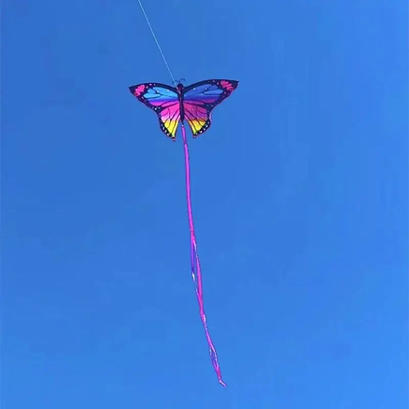 Colorful Inflatable Butterfly Kite