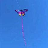 Colorful Inflatable Butterfly Kite