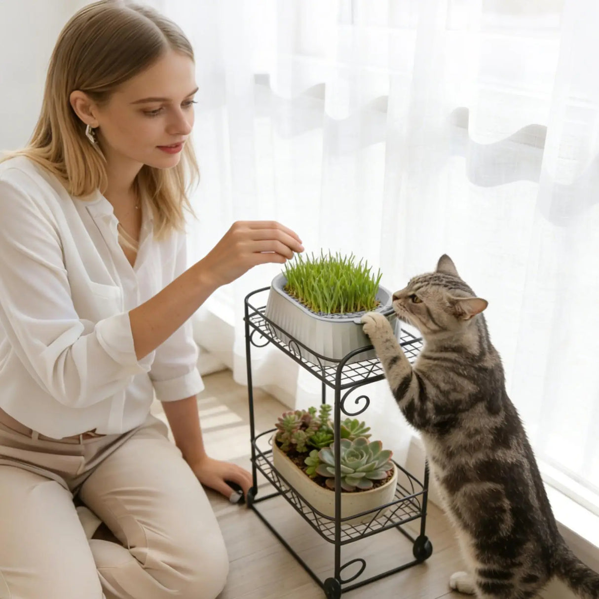 Hydroponic Cat Grass Planter
