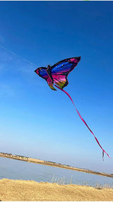 Colorful Inflatable Butterfly Kite