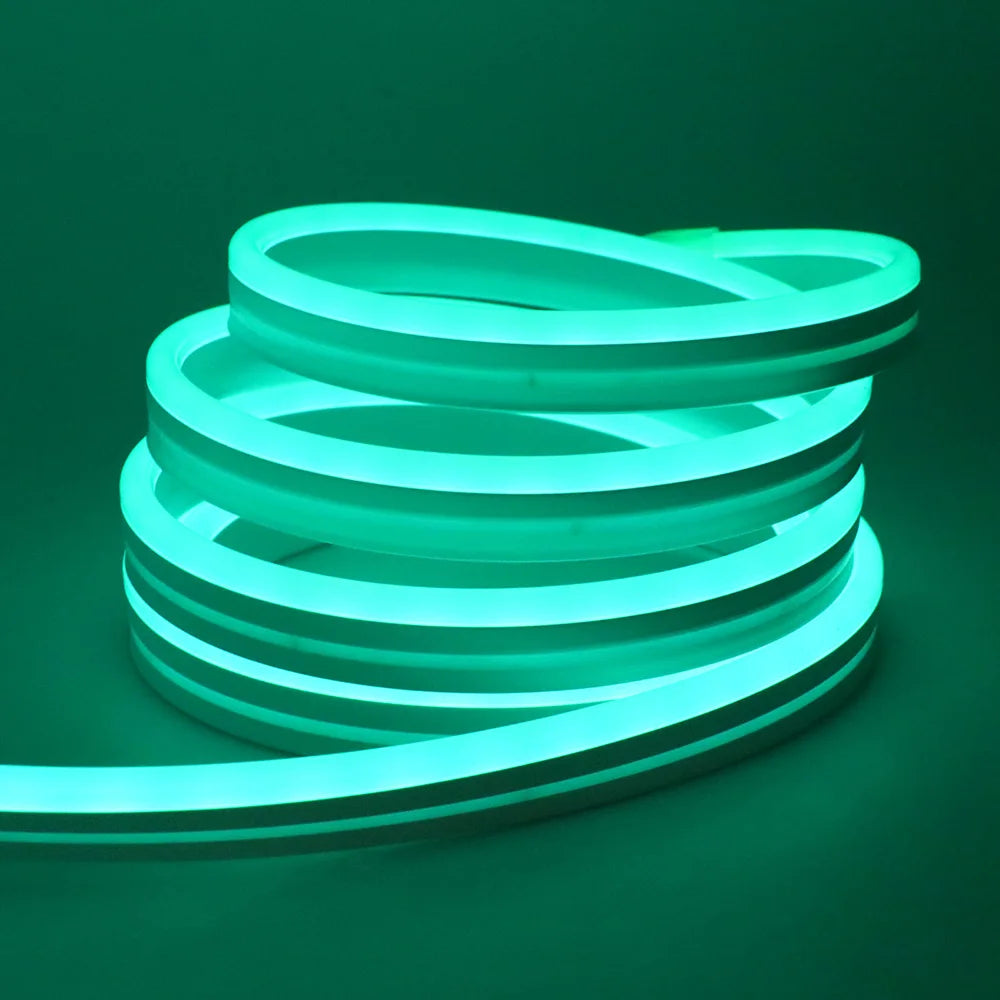 10M 20M 30M LED RGB Neon Flexible Waterproof\Bluetooth DC 24V Light Strip