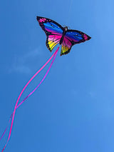 Colorful Inflatable Butterfly Kite