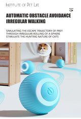 Electronic Interactive Cat Toy