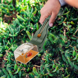 Insect Catcher With Magnifying Glass