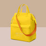 Large Waterproof Insulated Lunch Bag