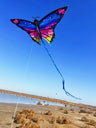Colorful Inflatable Butterfly Kite