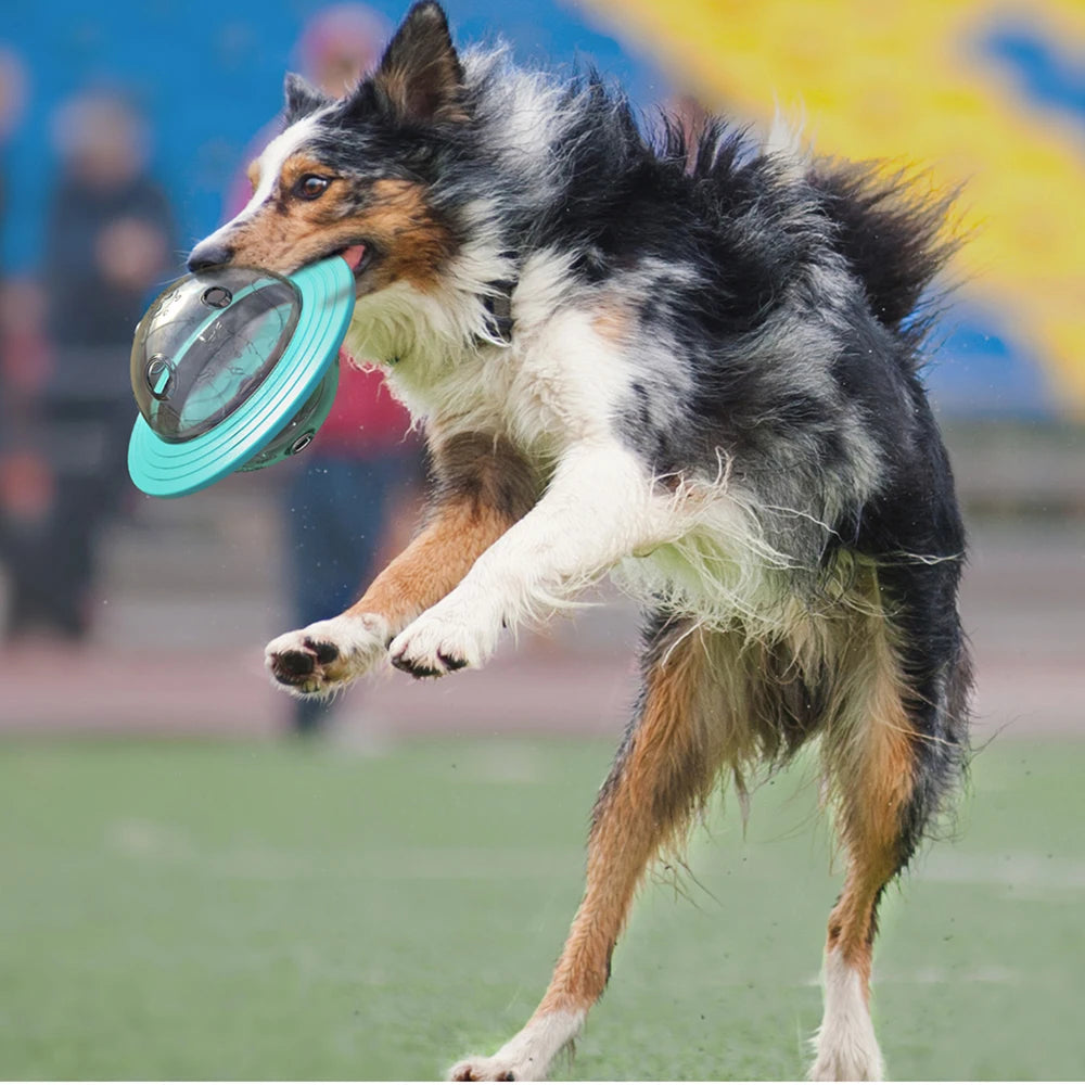 Slow Feed Dog Toy For Small Medium Or Large Pets