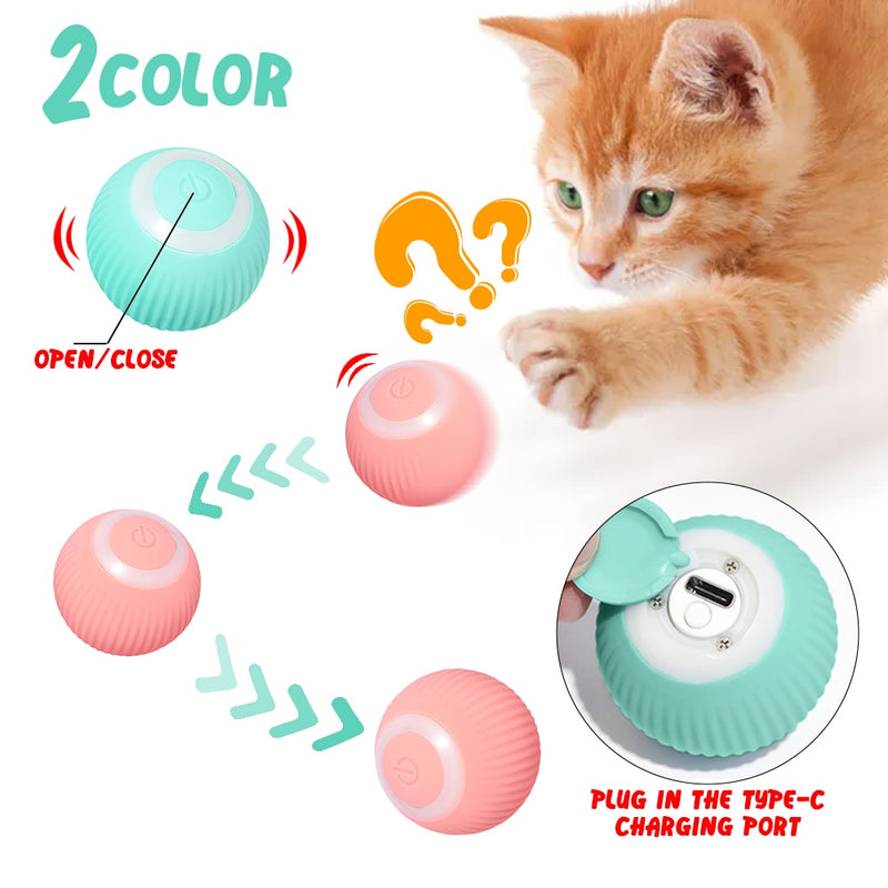 Electric rolling ball.  Automatically rolls to keep your Kitten active.