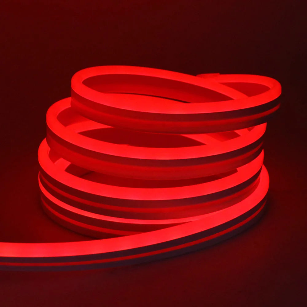 10M 20M 30M LED RGB Neon Flexible Waterproof\Bluetooth DC 24V Light Strip