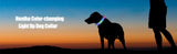 Led/USB Luminous PVC Waterproof Collar For Large Medium Or Small Pets
