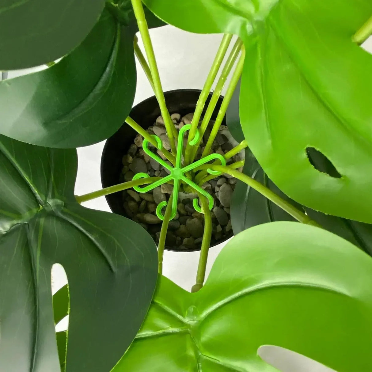 Plastic Plant Stem Support Stakes